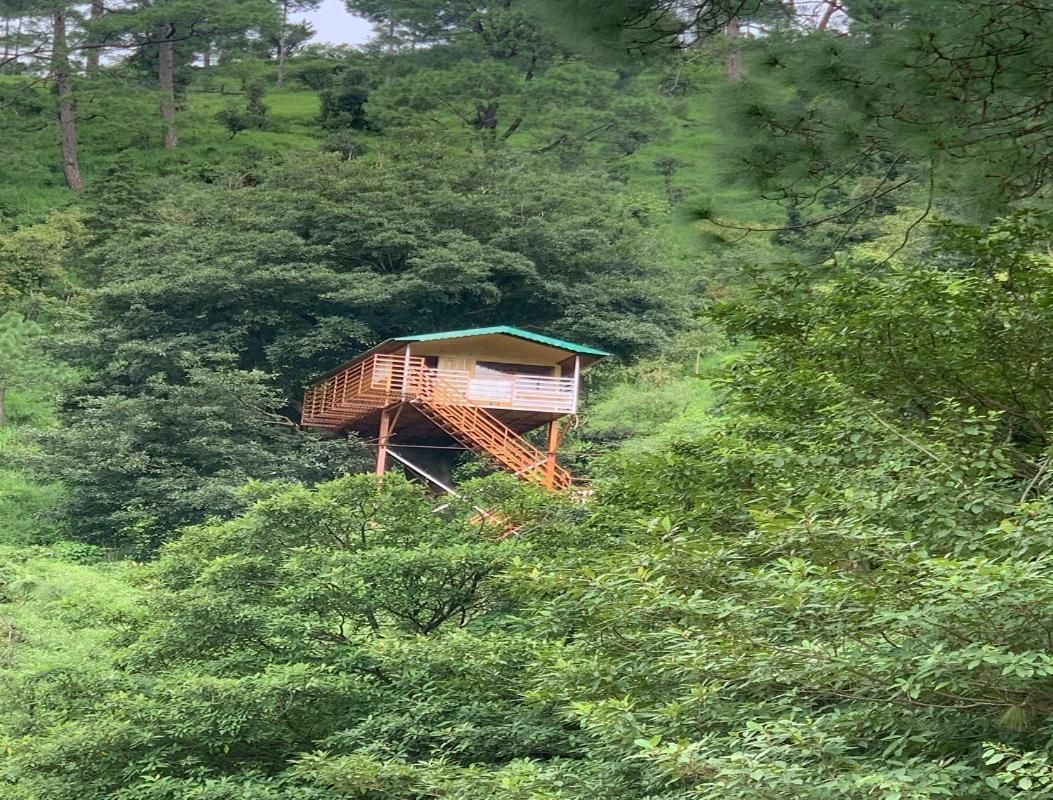 The Cocoon Camps & Nature Resorts Nainital Exteriér fotografie
